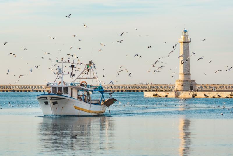 A fishing boat enters the Port of Molfetta at sunset