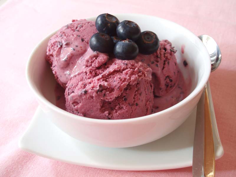 Blueberry Yogurt Ice Cream Italy Magazine