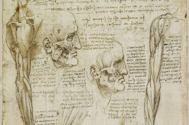 Buckingham Palace Exhibits Rare da Vinci Anatomy Studies 300 Years