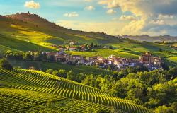 Hilly landscape with vineyards in the Langhe Piedmont Italy