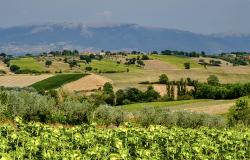 Umbrian landscape of hills and villages