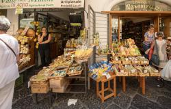 Our Guide to Buying Limoncello from the Amalfi Coast