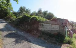 Panoramic spot to build a 100sqm villa with 3000sqm of olive grove, views of the mountains and a distant lake.  2