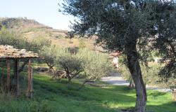 Detached, stone, countryside, house with nice views, 2 amazing terraces, 4 bedrooms and 200sqm olive grove. 3