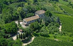 HISTORICAL VILLA WITH WINERY 1