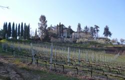 HISTORICAL VILLA WITH WINERY 6
