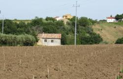 15,000 sqm of vineyard with sea view and 30sqm garage 5km to the beach with rights to build 450sqm of Villa.  4