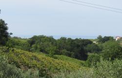 15,000 sqm of vineyard with sea view and 30sqm garage 5km to the beach with rights to build 450sqm of Villa.  6