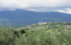 Detached, isolated, new build with 4500sqm of olive grove, mountain views, 1km to the town. 17