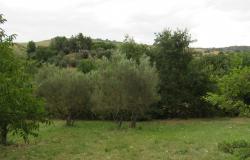 Building plot near Casoli, Abruzzo