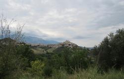 Building plot for a Villa of 120sqm, 5000sqm of flat olive grove, peaceful location and beautiful views  13