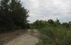 Building plot for a Villa of 120sqm, 5000sqm of flat olive grove, peaceful location and beautiful views  15
