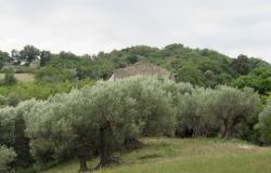 5 Hectares and 300sqm ruin in central Italy