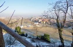 B&B for sale in Monferrato area with land