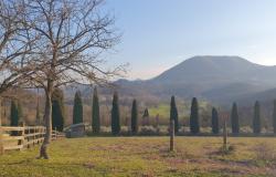 Rovolon – Euganean Hills – Stunning farmhouse with vineyard and olive grove. Ref. 98 24