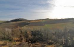In Monforte d'Alba, a Country House with over a Hectare of Land for Sale - MFT132 14