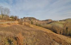 In Monforte d'Alba, a Country House with over a Hectare of Land for Sale - MFT132 17