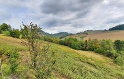 In Monforte d'Alba, a Country House with over a Hectare of Land for Sale - MFT132 2