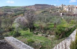 Stone structure, town house of 100sqm with garden, terrace, cellars, amazing views, 200 meters to the center  1