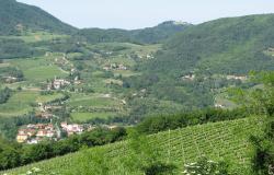Euganean Hills, Faedo, Veneto region, semi-detached house - ref 07  15