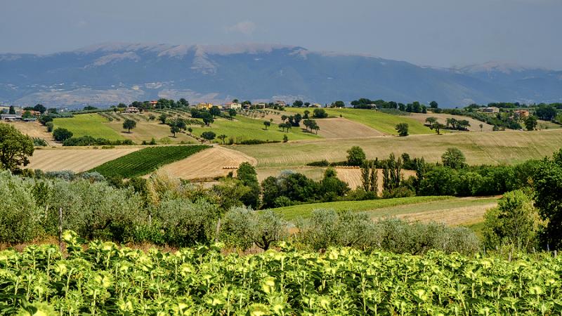 Umbrian landscape of hills and villages
