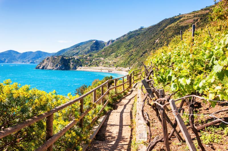 A walking path in the Cinque Terre