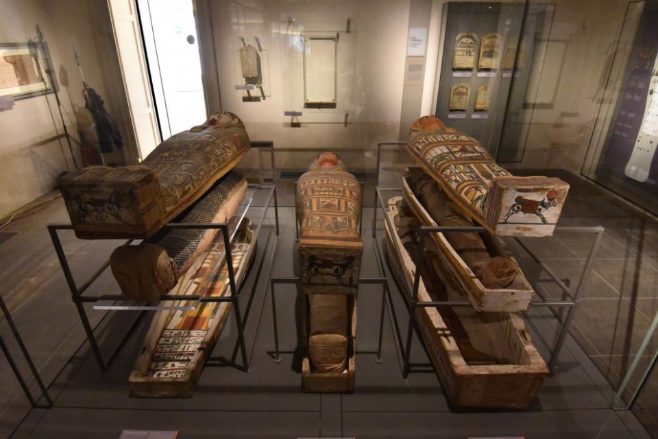 Egyptian Museum of Turin