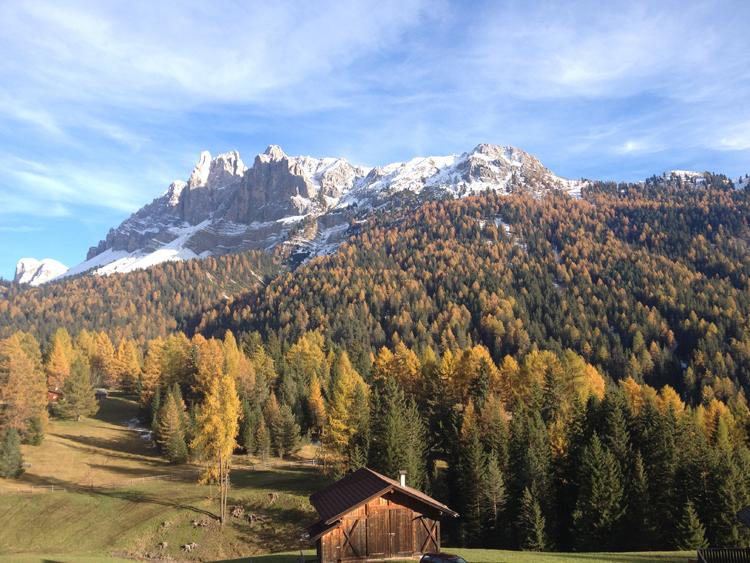 Fall colors in South Tyrol