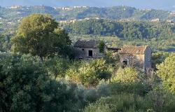L’Oliveto nestling in olive groves with views across the valley