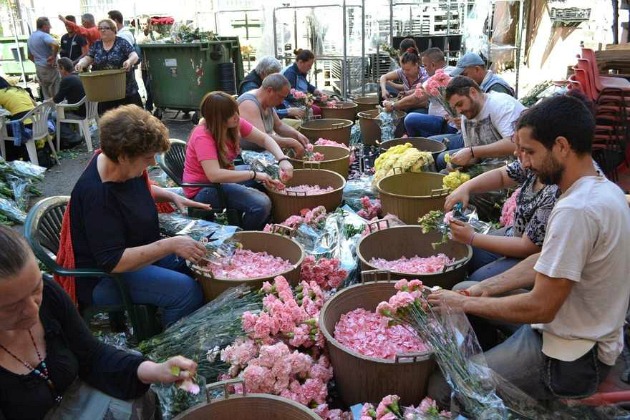 The history of the Infiorata Flower Tradition