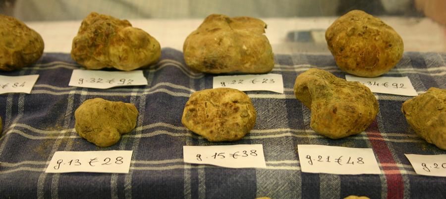 The Foodie Guide To Italian Truffles Italy Magazine