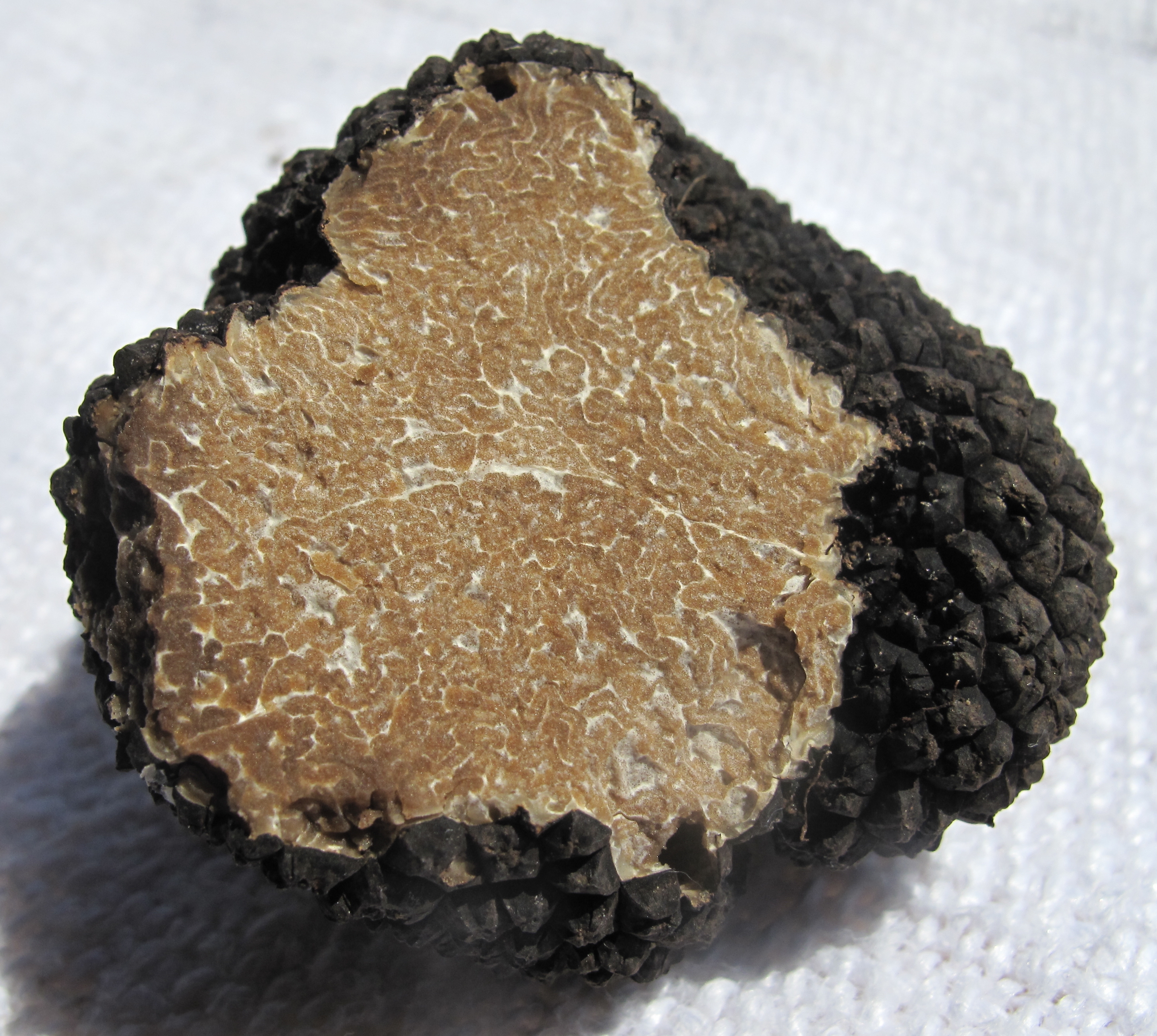 The Foodie Guide to Italian Truffles | ITALY Magazine