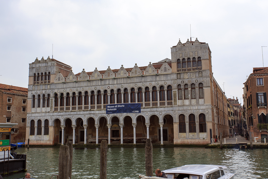 A Cabinet Of Curiosities in Venice | ITALY Magazine