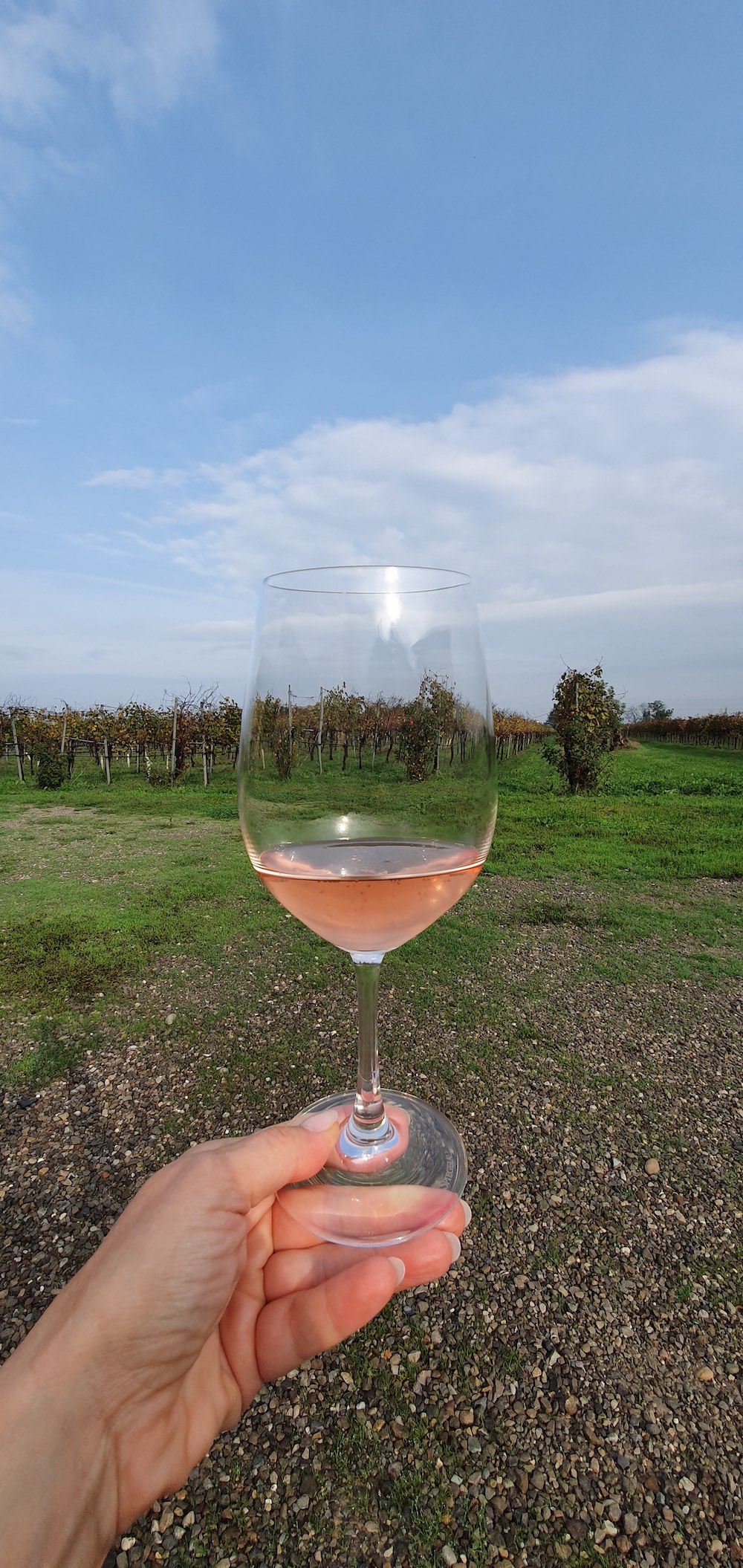 wine