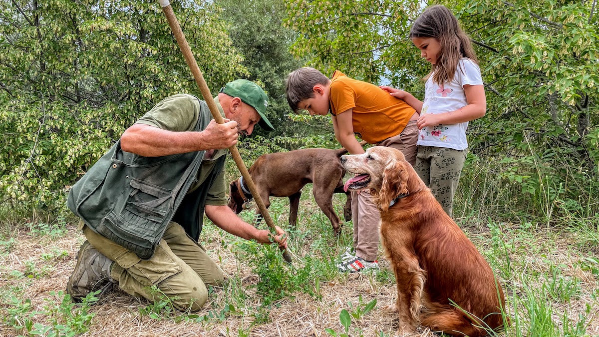 Truffle hunting in the woods with Uncle Adamo and the dogs