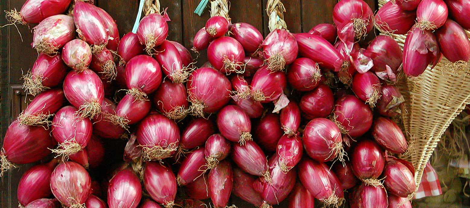 Sweet Tropea onions