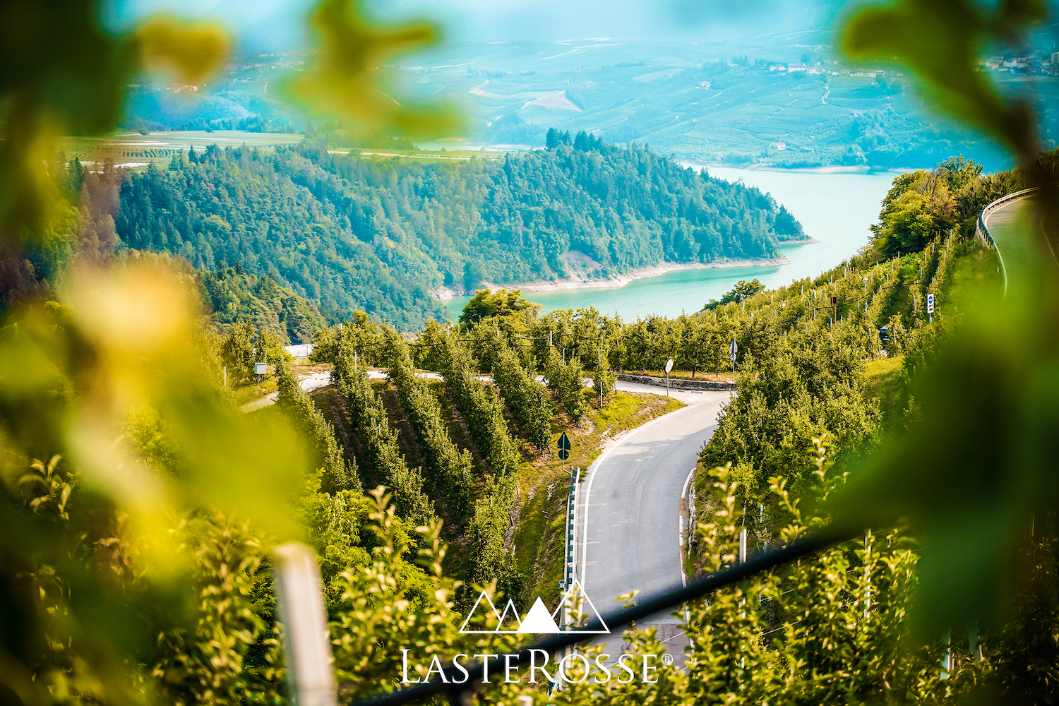 Santa Giustina Lake and vineyards in Val di Non