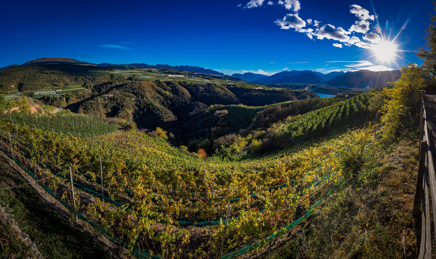 Val di Non Vineyards
