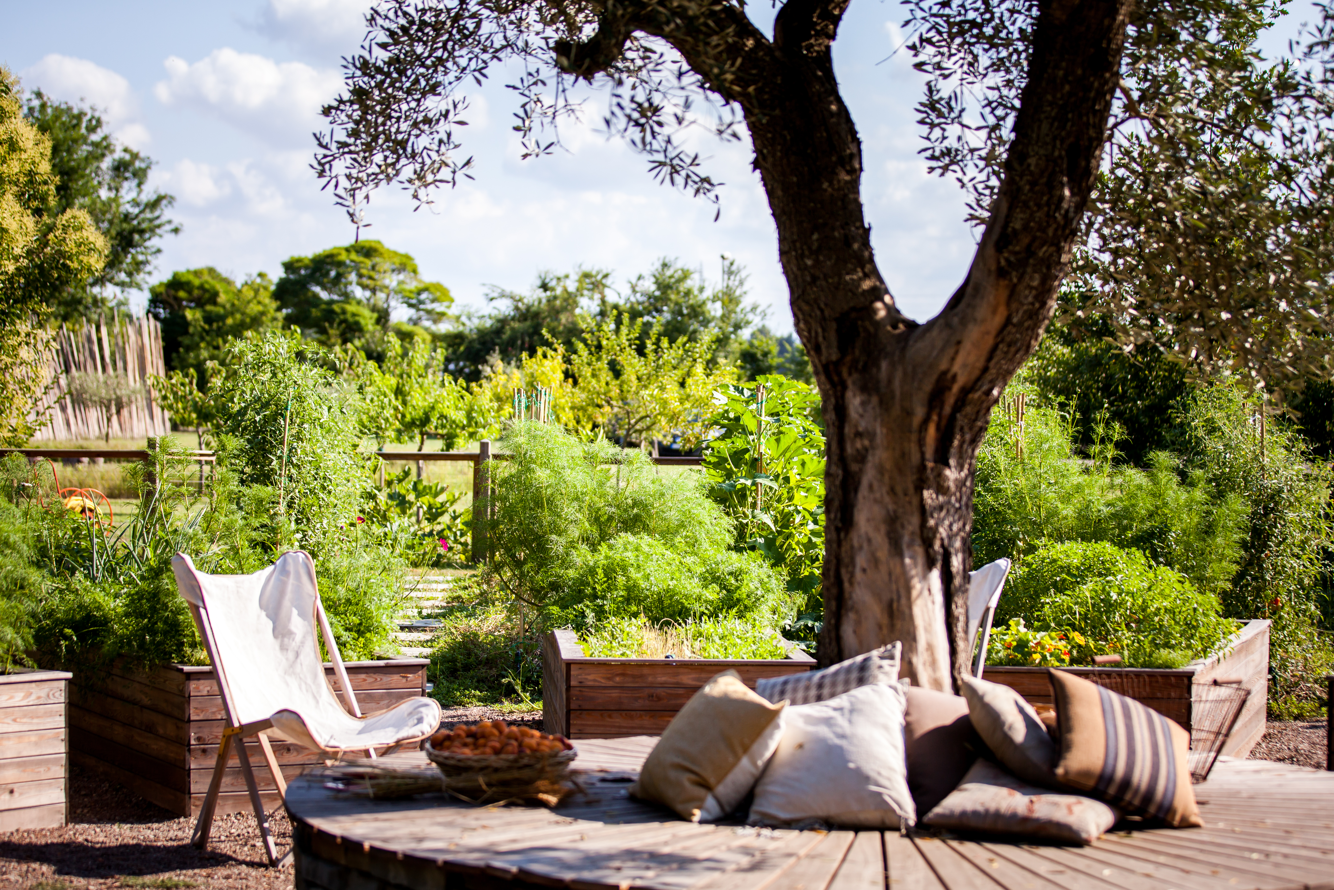 Vegetableg garden at Casa Maria Luigia / Photo: Marco Poderi