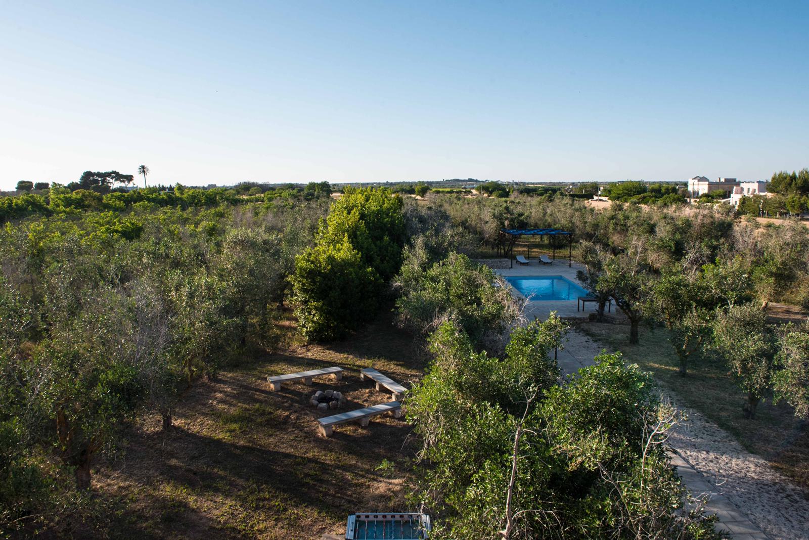 The exterior with olive trees and swimming pool