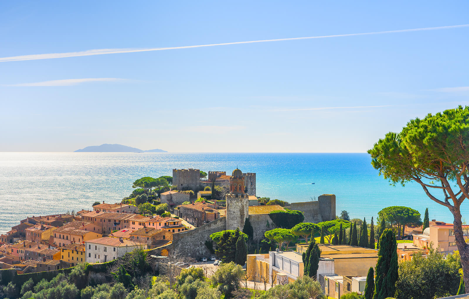 Castiglione della Pescaia, old village and pine tree