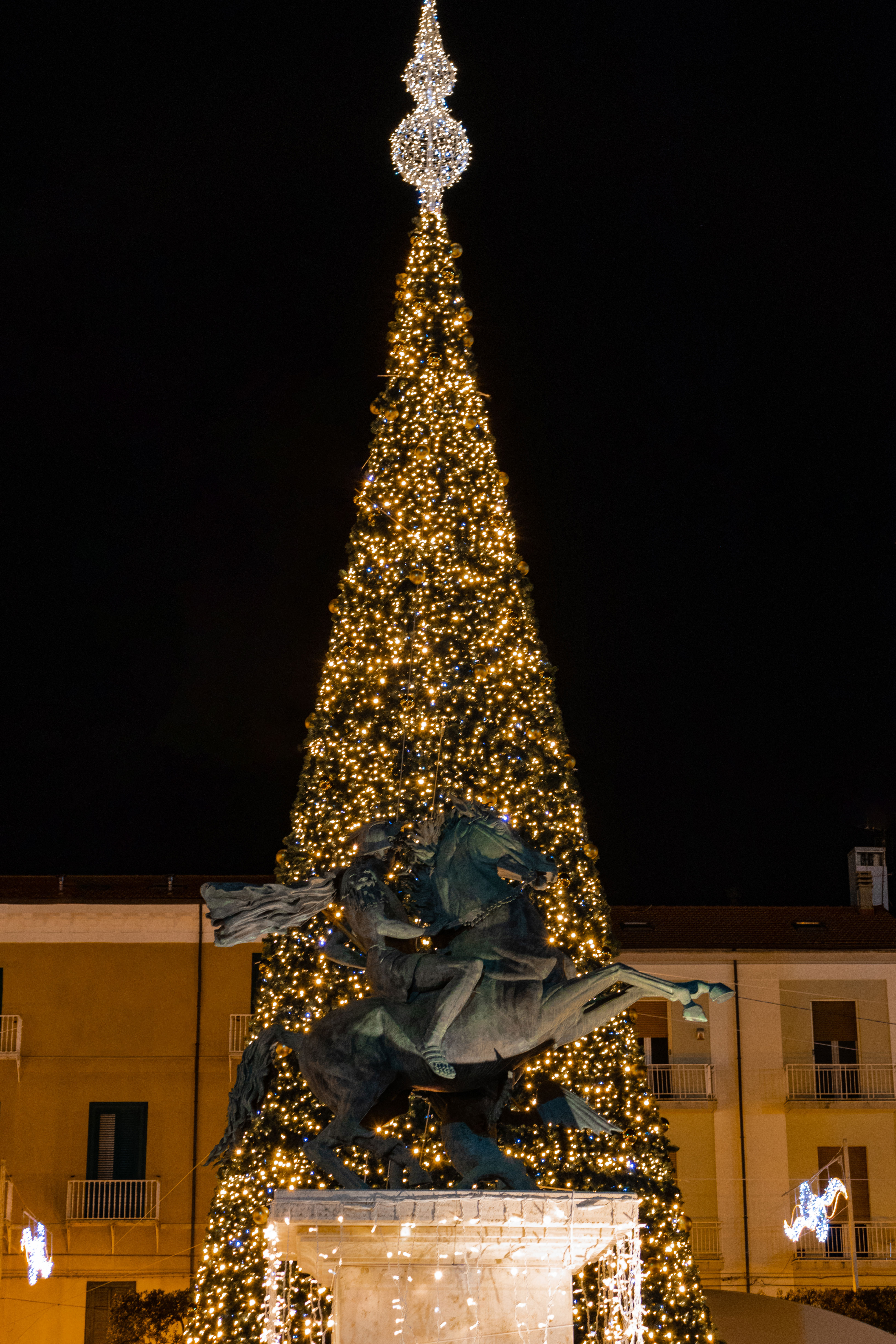 campobasso christmas tree
