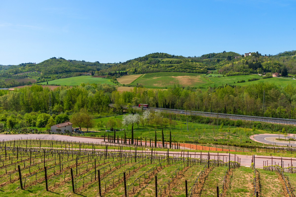 Antinori