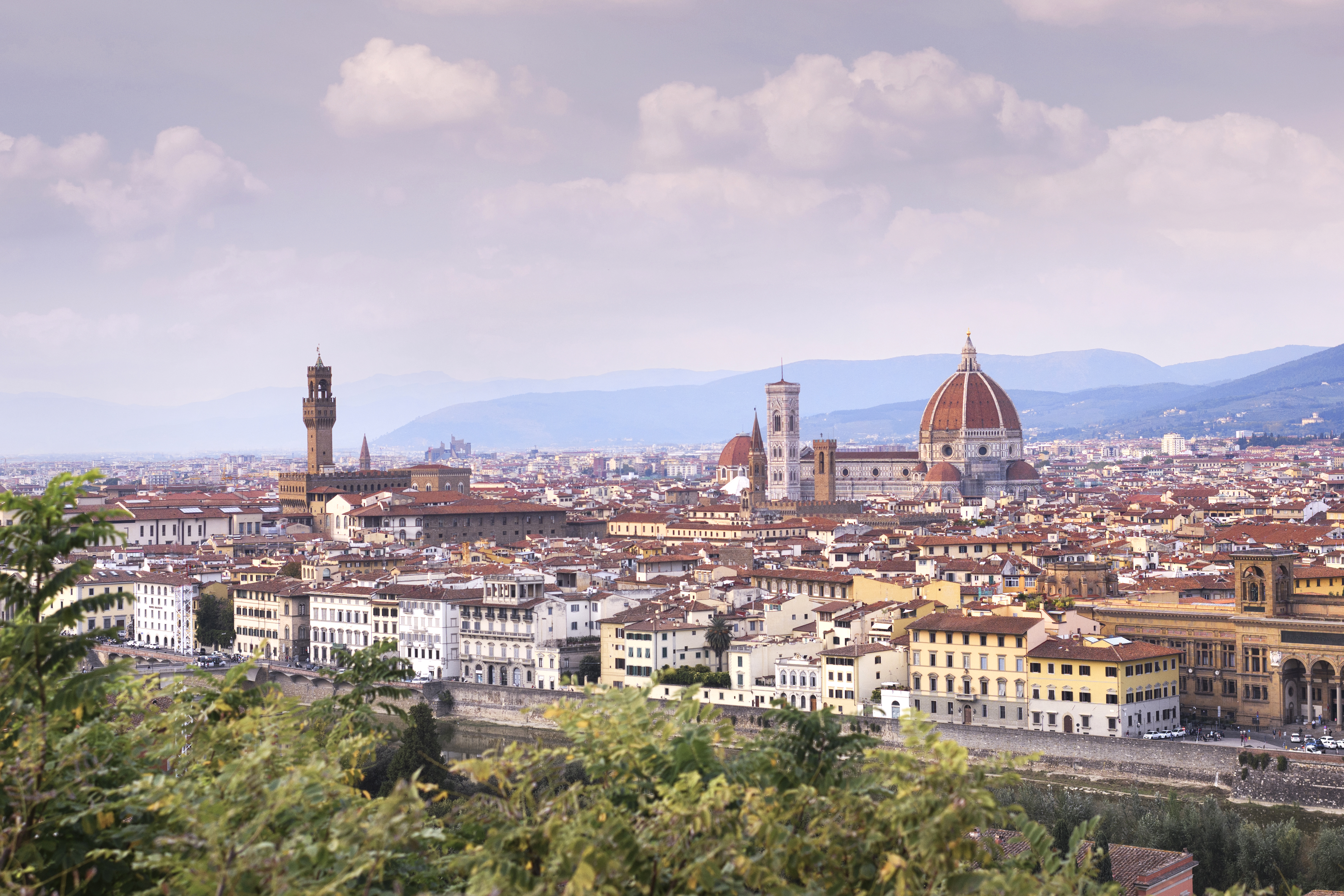 Florence skyline