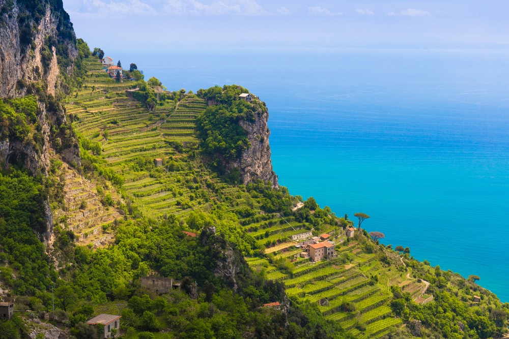 The distinctive lemon groves built into the steep cliffs along the Amalfi coast have been growing lemons for centuries. Credit: Josef Skacel via Shutterstock