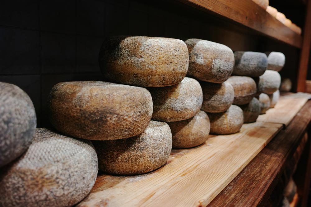 Tuscan Pecorino
