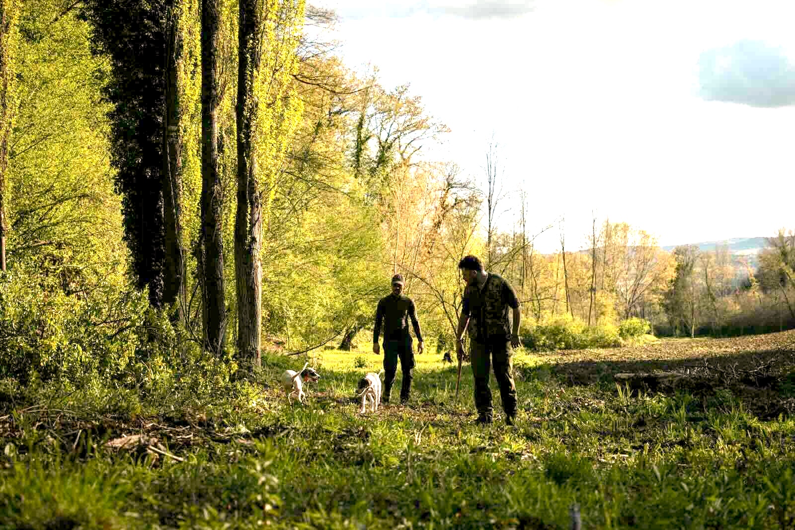 Truffle hunting