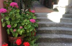 Learn Italian near Cinque Terre,  living with you teacher 11
