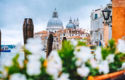 Spring in Venice