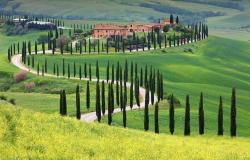 Typical Tuscan landscape